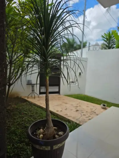 Casa en venta en Mérida - foto 4