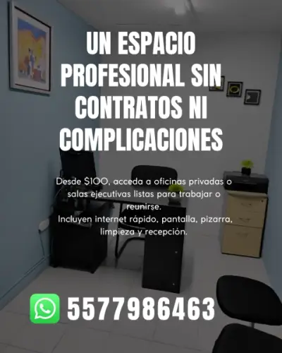 IDEAL PARA PROFESIONALES QUE NECESITAN FLEXIBILIDAD