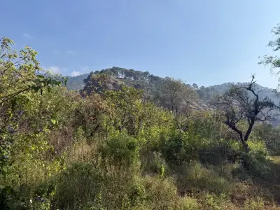 Terreno en venta en Tepoztlán - foto 5