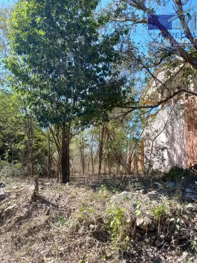 Terreno en venta en Zihuatanejo de Azueta - foto 2