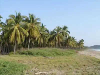 Terreno en venta en Zihuatanejo de Azueta - foto 3