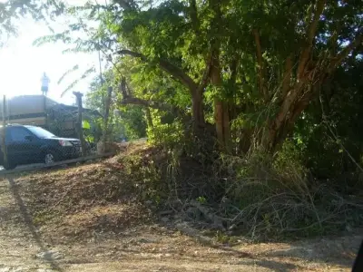 Terreno en venta en Zihuatanejo de Azueta - foto 3