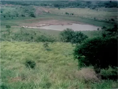 Pantla Terreno en Venta 219.67 Hectareas frente a carretera