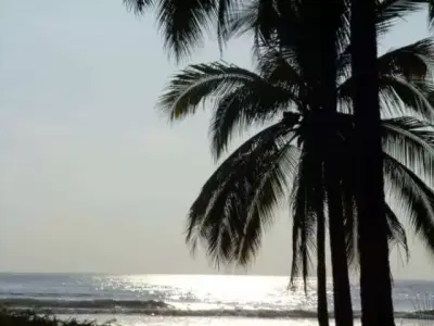 Pantla zona Ixtapa 113 hectareas con 800 m2 frente de playa