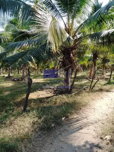 Terreno en venta en Zihuatanejo de Azueta - foto 5