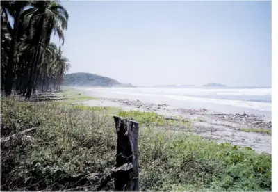 Terreno en venta en Zihuatanejo de Azueta - foto 5