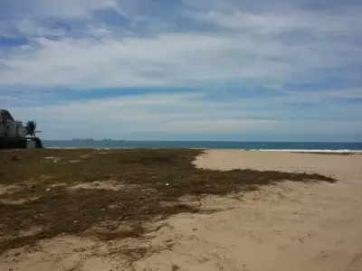 Terreno en venta en Petatlán - foto 4