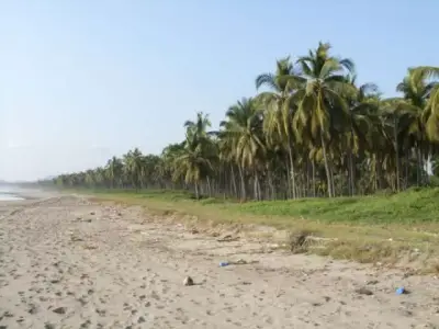 Terreno en venta en Zihuatanejo de Azueta - foto 5