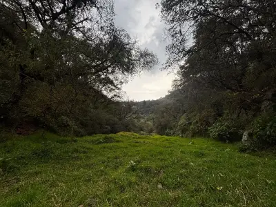 Terreno en venta en Mineral del Monte - foto 2
