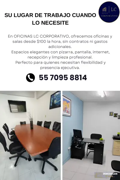 OFICINA Y SALA EN ENTORNO PROFESIONAL