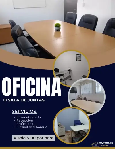 OFICINA Y SALA PARA USO PROFESIONAL