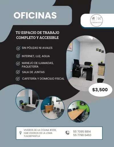 OFICINA PROFESIONAL CON RECEPCIÓN Y SEGURIDAD