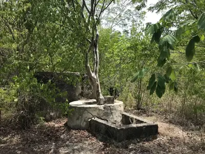 Terreno en venta en Umán - foto 5
