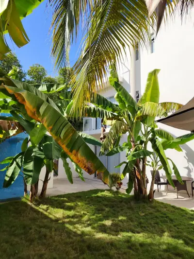 Hoteles y edificios en venta en Cancun - foto 2