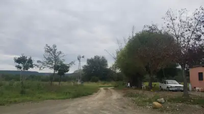 Terreno productivo
