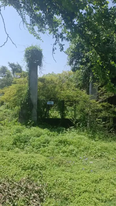 Terreno en venta en Tetecala - foto 2