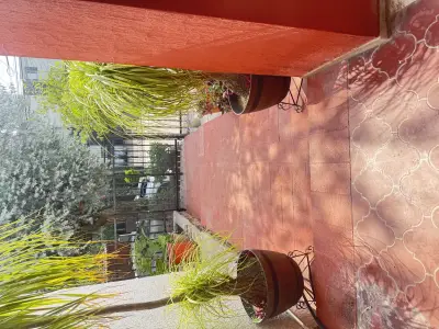 Casa en venta en Zapopan - foto 3