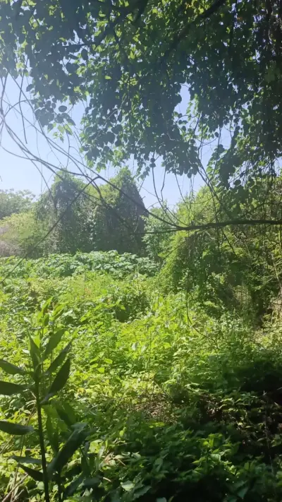 Terreno en venta en Tetecala - foto 4