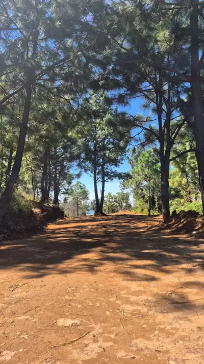 Terreno en venta en Tapalpa - foto 3