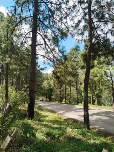 Terreno en venta en Tapalpa - foto 3