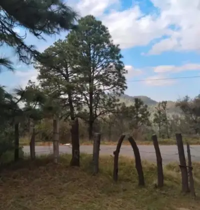 Terreno en venta en Tapalpa - foto 2