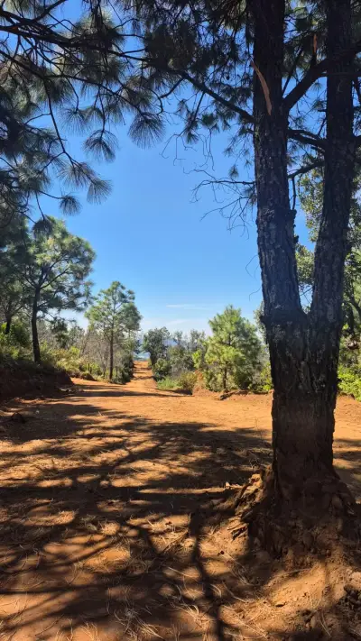 Terreno en venta en Tapalpa - foto 2