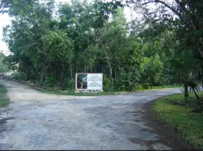 Terreno en venta en Cancun - foto 4