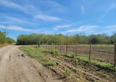 Terreno en venta en Montemorelos - foto 4