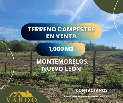 Terreno en venta en Montemorelos