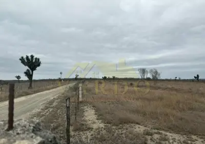 Terreno en venta en Hualahuises - foto 3