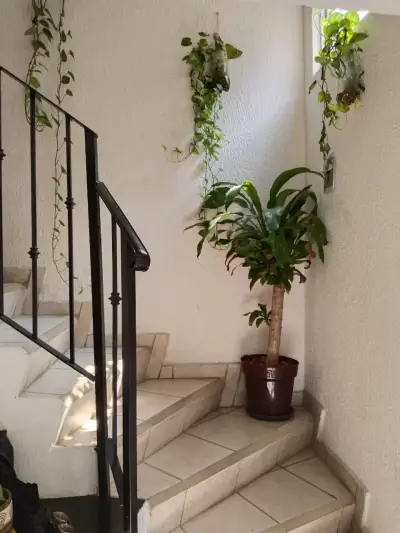 Casa en venta en Temixco - foto 2