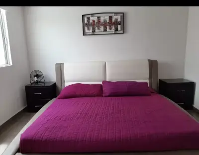Departamento en renta en San Luis Potosí - foto 5