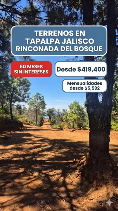 Terreno en venta en Tapalpa - foto 5