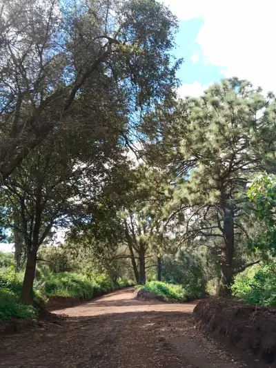 Terreno en venta en Tapalpa - foto 3