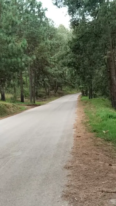 Terreno en venta en Tapalpa - foto 4
