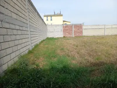 Terreno en renta en Temoaya - foto 2