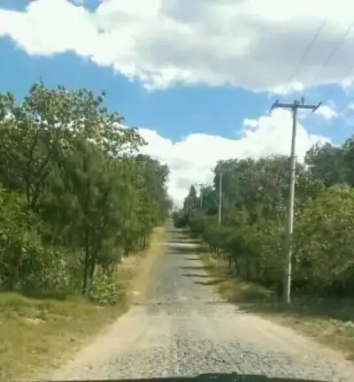 Terreno en venta en El Arenal - foto 4