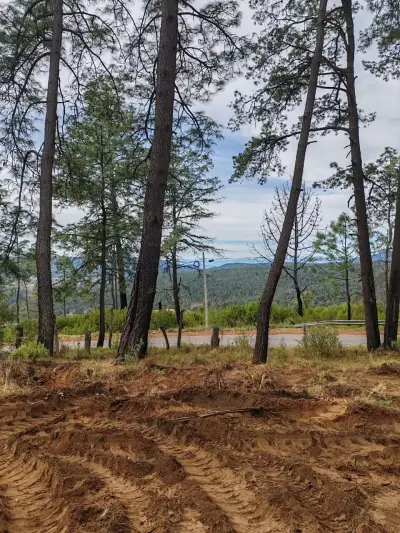 Terreno en venta en Tapalpa - foto 4