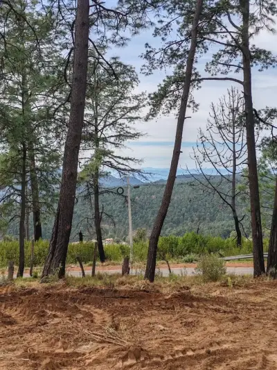 Terreno en venta en Tapalpa - foto 5