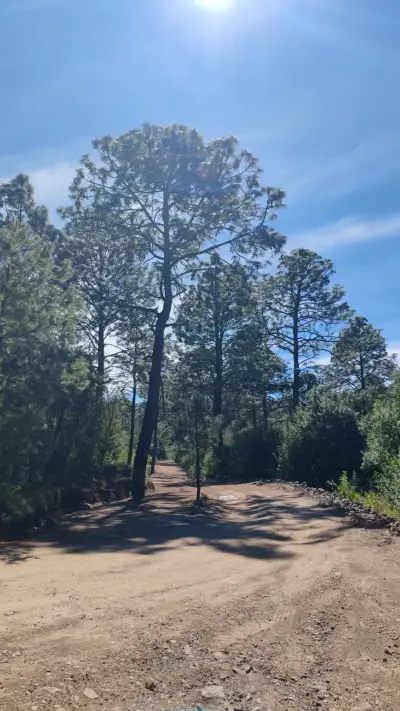 Terreno a pie de carretera en Tapalpa Jalisco