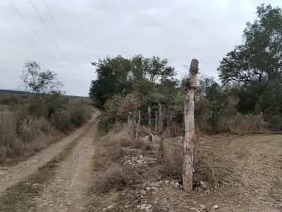 Rancho en venta en Montemorelos - foto 3