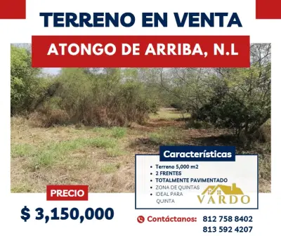Terreno ideal para quinta - atongo de arriba, n.L