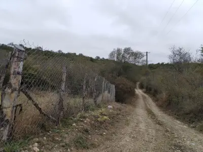 Rancho en venta en Montemorelos - foto 2