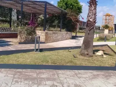 Terreno en venta en San Pedro Cholula - foto 5