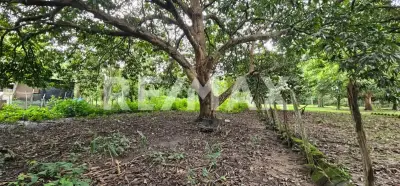 Terreno en venta en Centro - foto 4