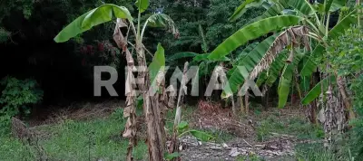 Terreno en venta en Centro - foto 2
