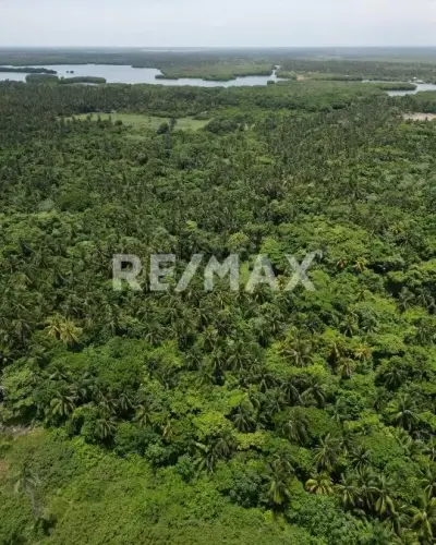 Terreno en venta en Paraíso - foto 4