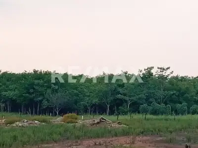 Terreno en venta en Centro - foto 4