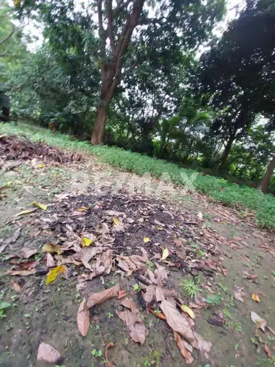 Terreno en venta en Centro - foto 3
