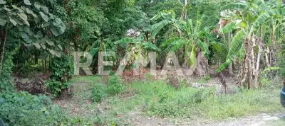 Terreno en venta en Centro - foto 4